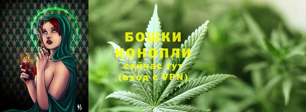 шишки Новозыбков