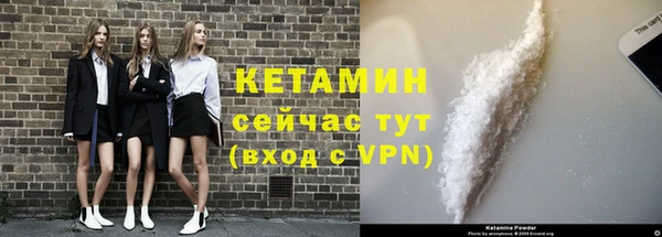 шишки Новозыбков