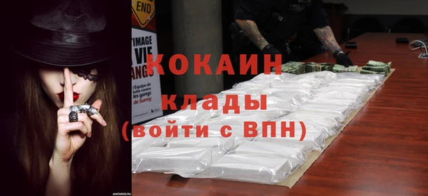 шишки Новозыбков