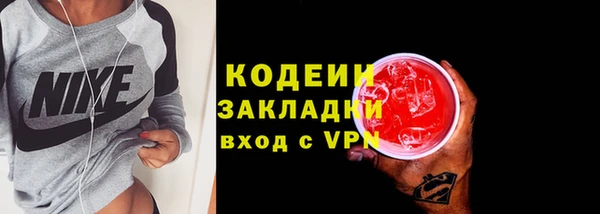 шишки Новозыбков