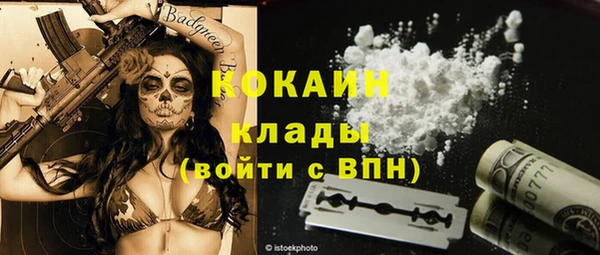 шишки Новозыбков