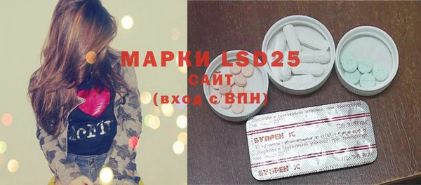 шишки Новозыбков