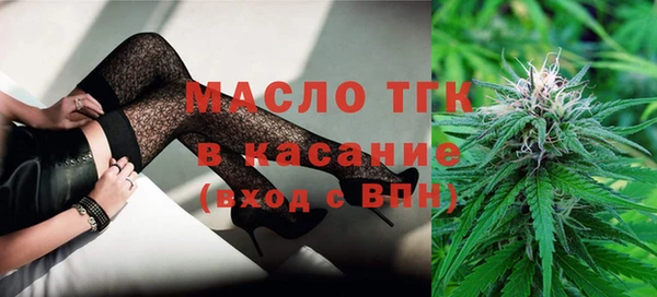 шишки Новозыбков