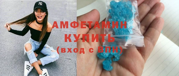 шишки Новозыбков