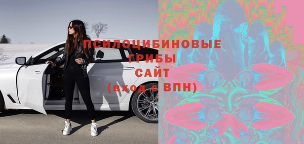 мескалин Няндома