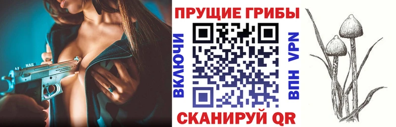 хочу   Новосиль  Галлюциногенные грибы мицелий 