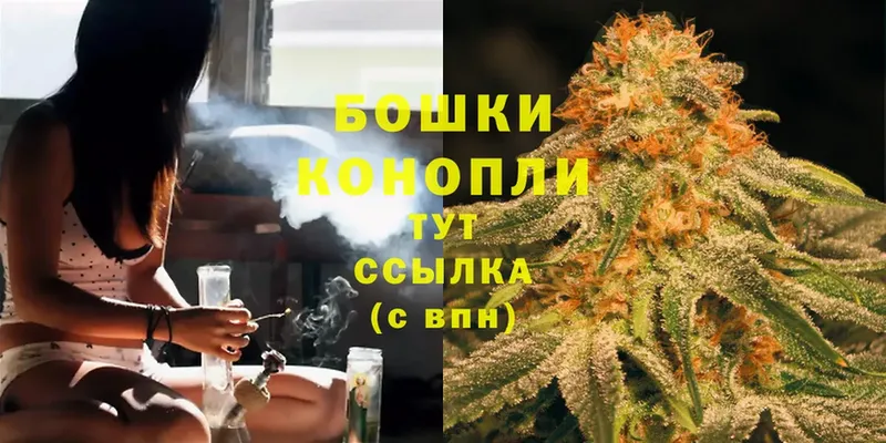 Конопля Bruce Banner  купить наркоту  это состав  Новосиль 